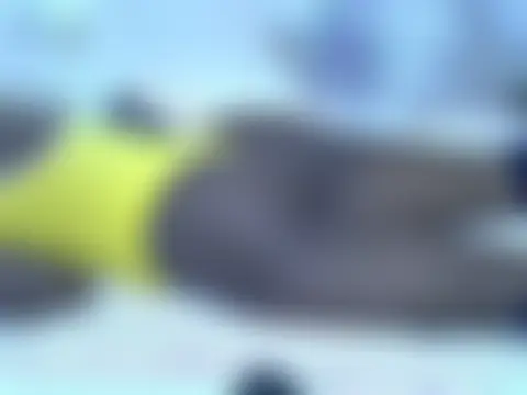 Twerl Cameră chat live