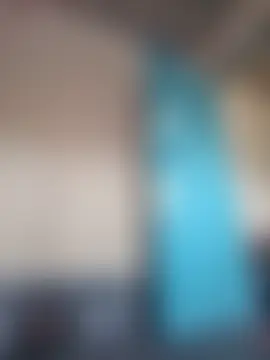 Chat soba uživo modela Ripa-