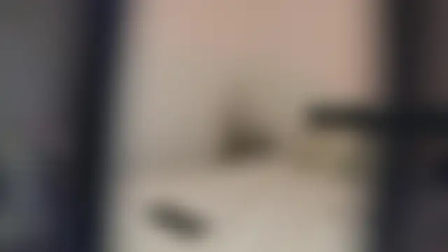 Special___ 실시간 채팅방
