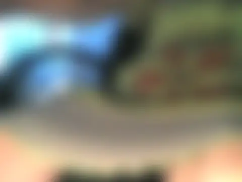 Sala de chat ao vivo de nastena70