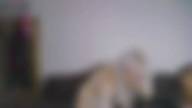 Oxcy_Secret: онлайн-чат