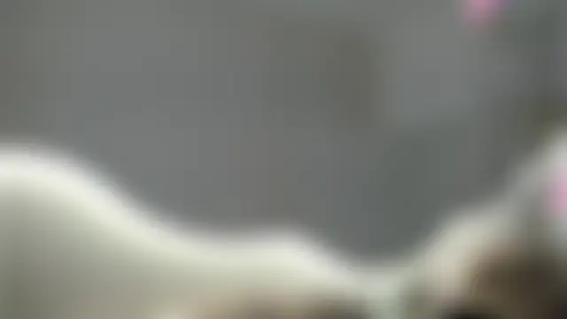 חדר צ'אט בשידור חי של Zoebluntone