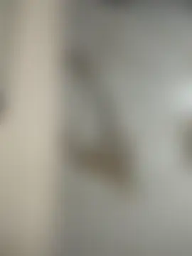 Antonella_Julieta Adlı Modelin Canlı Sohbet Odası