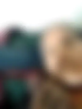 Bilik Sembang Langsung Loomaraj