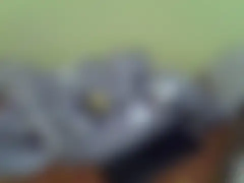 Pearl_petite লাইভ চ্যাট রুম
