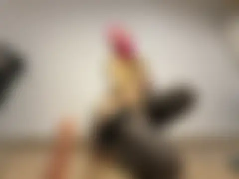Sala de chat en directo de SweetyLucy555