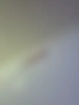 lasexycoquine59 чат на живо
