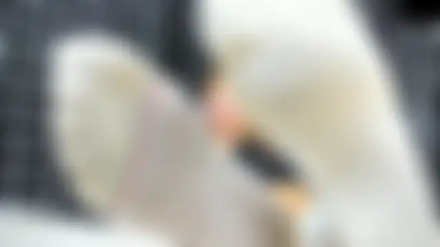MissAlmaFenix Cameră chat live
