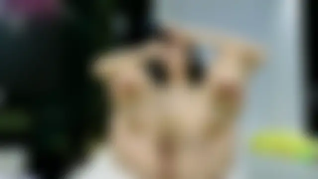 nyxxfire's Live XXX Chat