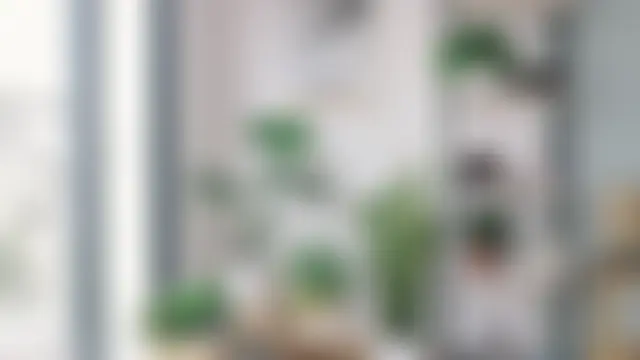 jiggywife Live Chatrum