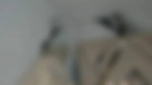 honeyhtx Live Chatrum