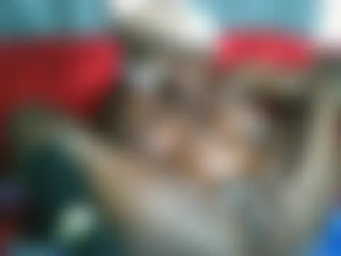 Sexy_bobeyn Live chat-huone