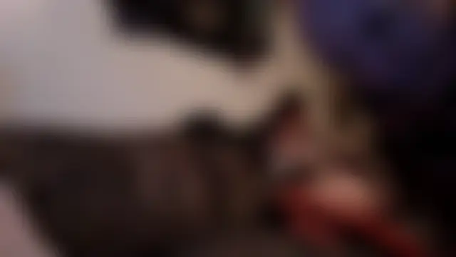 howudoin2025 – live chatrum