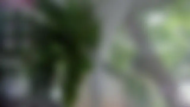 Bilik Sembang Langsung Lexi_Storm
