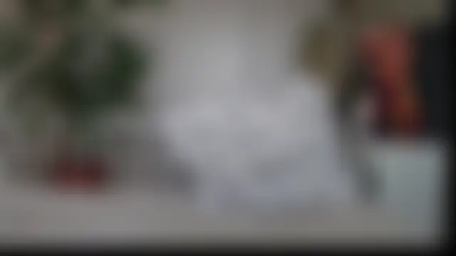 ShyEvaa élő chatszobája