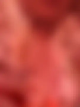 carmelasexy 실시간 채팅방