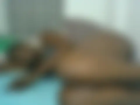 Chocolateskin4 실시간 채팅방
