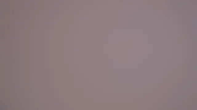 GinaFleming live-chat rom