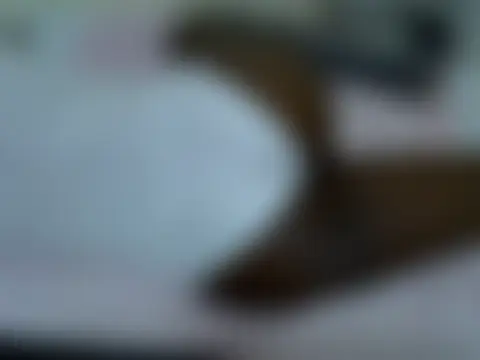 Chat ao vivo de Twerl