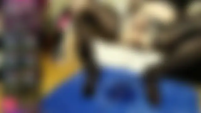 dirty_anal_lisa Adlı Modelin Web Kamerası Şovu
