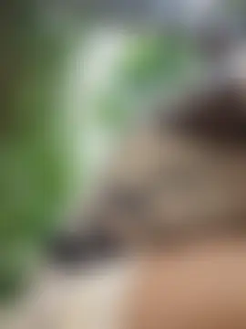 Paopao-'s Live XXX Chat