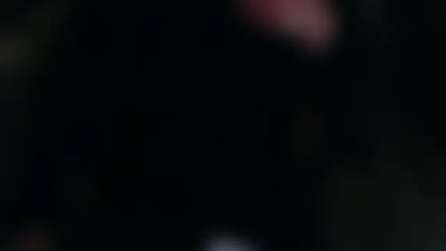 Andre95x 网络视讯表演