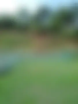 غرفة دردشة WeaklyMop المباشرة
