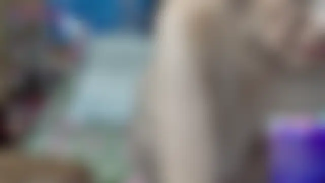 Olgusha 现场聊天室