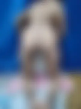 deepa-telugu143's Live XXX Chat