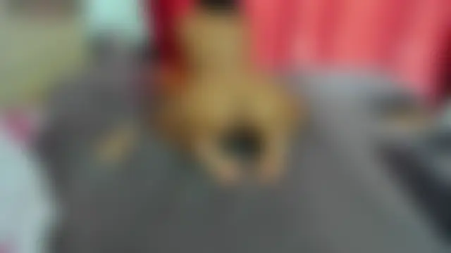 Sala de chat en directo de LUISSA_
