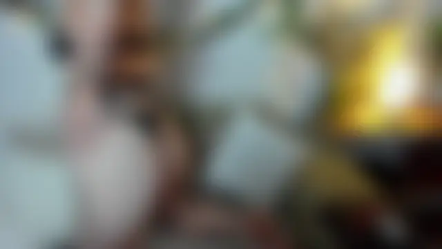 Czat XXX na żywo – LallyBunnyy