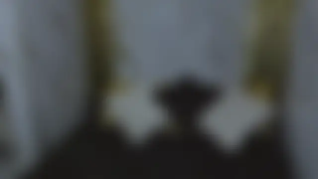 dianamilf's Live XXX Chat
