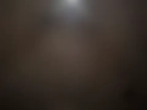 RawRyder8 网络视讯表演