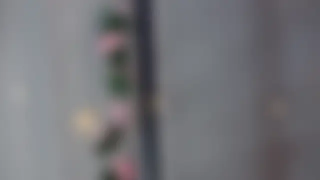 ElisabethDavis 现场聊天室