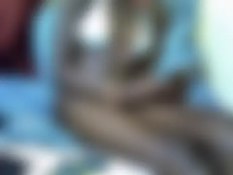 Živá chatovací místnost Lexieeluv