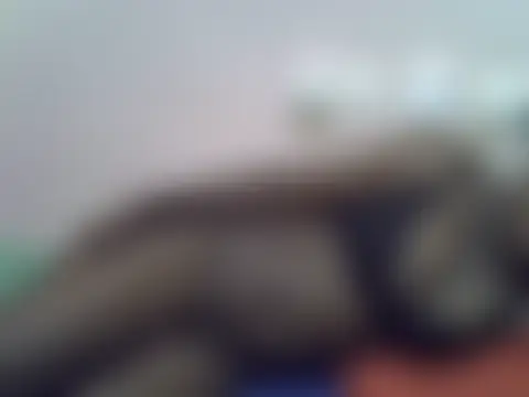 Nasty_Cee254 现场XXX聊天