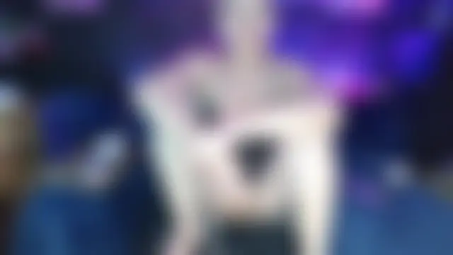 Fentazimelody Live Chatraum