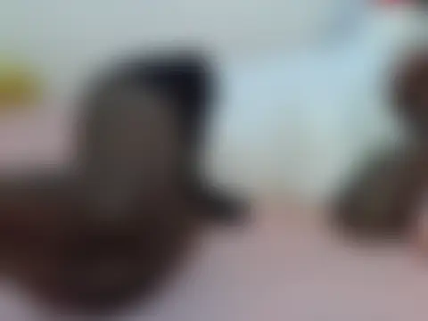 Živý XXX chat HOTMAYA254