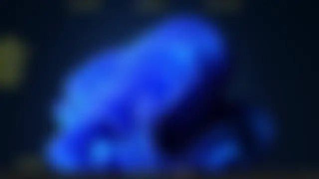 DY-002's Live Sex Cam Show