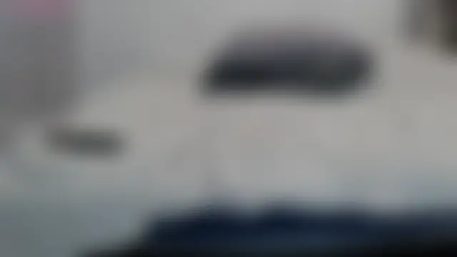 LanaDreamX 现场XXX聊天