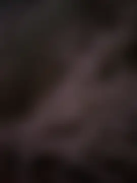 bitsim webcam show