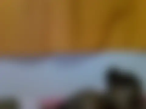 kaya_bear élő chatszobája