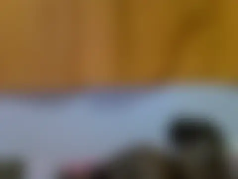 Sala de chat ao vivo de kaya_bear