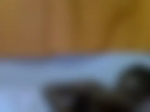 Chat ao vivo de kaya_bear