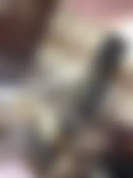 غرفة دردشة Dasiboy35 المباشرة