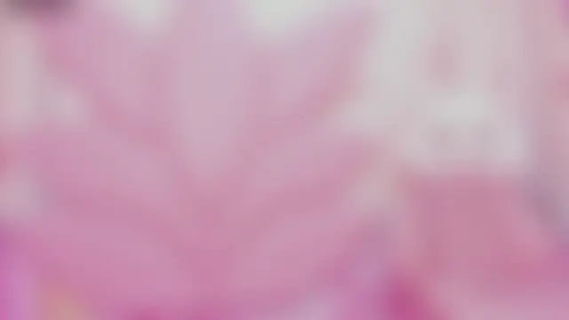 Mariana__spicy 现场聊天室