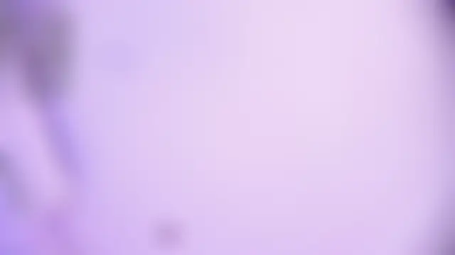stephanymonroe 실시간 채팅방
