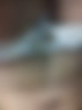 Raw3aa-love ওয়েবক্যাম শো