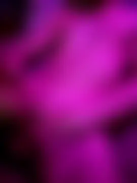 Loncoc Live Sex Cam-Show