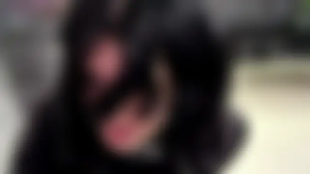 VeIvetLuren Live XXX chat